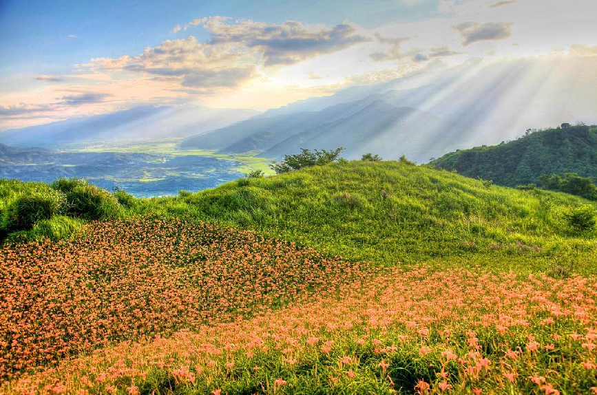 六十石山的金針花在陽光照射下閃閃發光,被譽為是「天使的花毯」,今年特別設計七個小奇兵打卡景點,分別位於忘憂園、鐵掌櫃茶舍、達蘭埠山本農場、馥麗農莊、益順農莊、龍安製茶山莊、九六四驛站,都有小奇兵的蹤影,來到六十石山一定要到最高點也是最佳觀賞位置的「忘憂亭」,因為從忘憂亭可以欣賞到整片的金針花海,還能近看到陽光打落在金針花海美麗的景色。