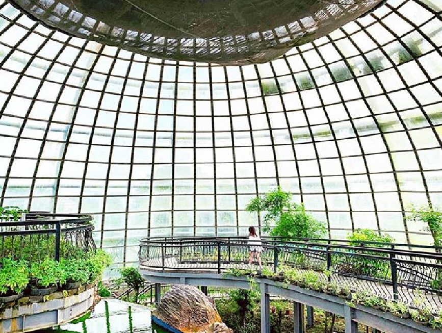 新嘉大昆蟲館：嘉大昆蟲館位於嘉義大學旁，在這裡可以欣賞到全國唯一旋轉彩蝶，館內共分為保育類昆蟲模型、旋轉彩蝶柱、國內/外昆蟲標本展示區、水生活體昆蟲、 蝴蝶溫室花園等，球體內部設計環繞步道，讓民眾漫步之餘近距離體驗與蝶共舞，於休閒中得知識，達寓教育樂之目的。