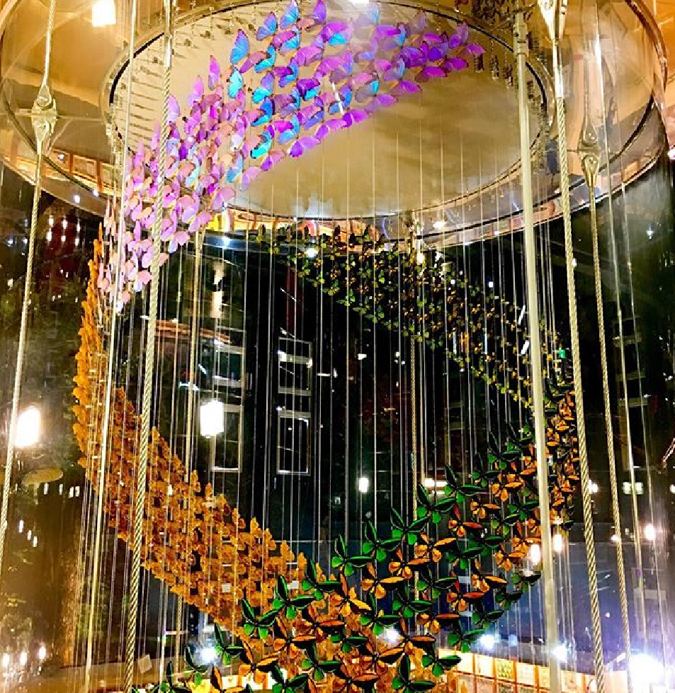 新嘉大昆蟲館：嘉大昆蟲館位於嘉義大學旁，在這裡可以欣賞到全國唯一旋轉彩蝶，館內共分為保育類昆蟲模型、旋轉彩蝶柱、國內/外昆蟲標本展示區、水生活體昆蟲、 蝴蝶溫室花園等，球體內部設計環繞步道，讓民眾漫步之餘近距離體驗與蝶共舞，於休閒中得知識，達寓教育樂之目的。