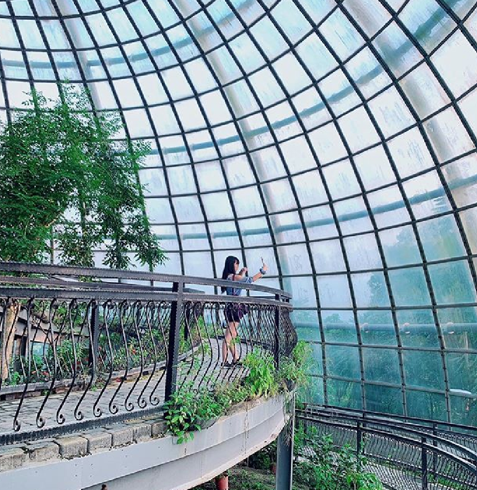 新嘉大昆蟲館：嘉大昆蟲館位於嘉義大學旁，在這裡可以欣賞到全國唯一旋轉彩蝶，館內共分為保育類昆蟲模型、旋轉彩蝶柱、國內/外昆蟲標本展示區、水生活體昆蟲、 蝴蝶溫室花園等，球體內部設計環繞步道，讓民眾漫步之餘近距離體驗與蝶共舞，於休閒中得知識，達寓教育樂之目的。