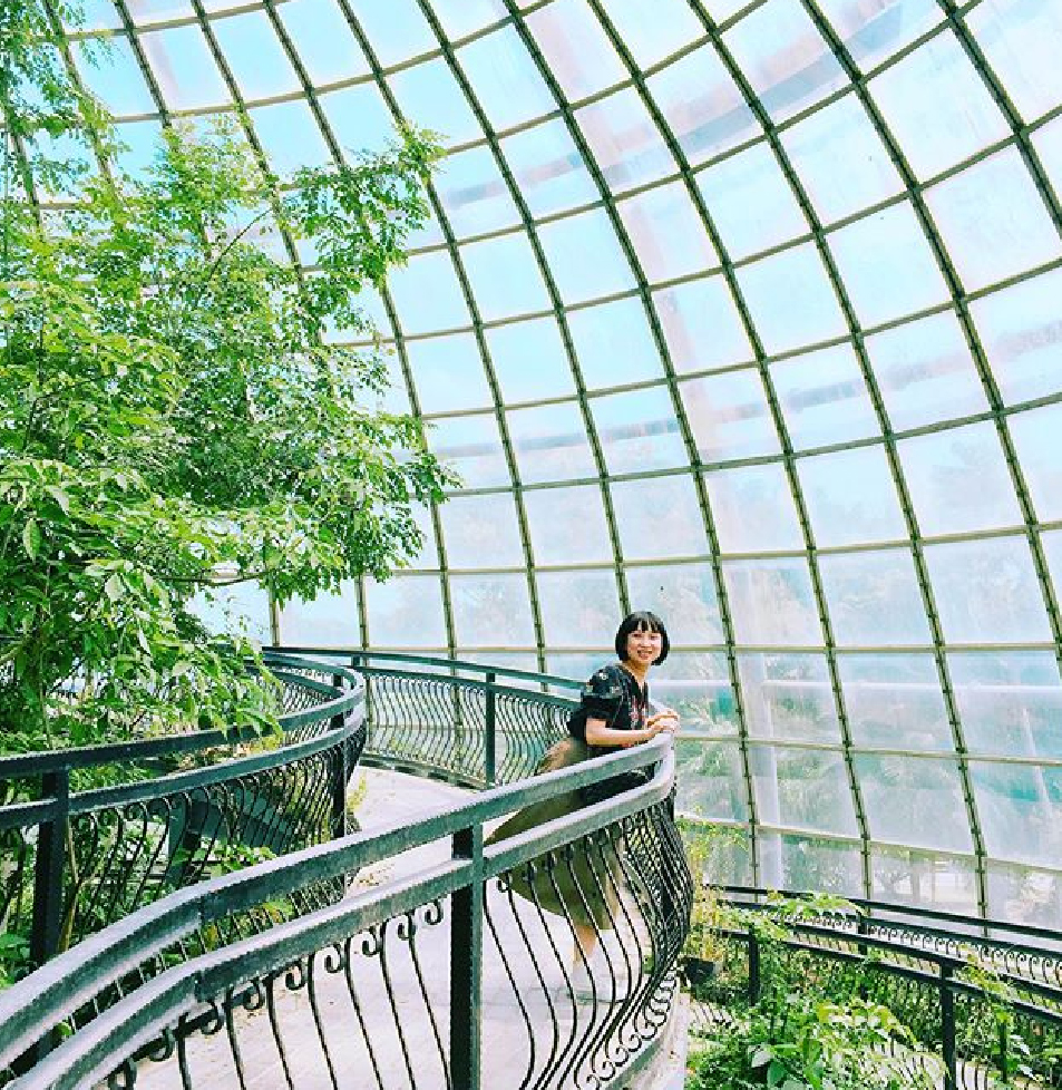 新嘉大昆蟲館：嘉大昆蟲館位於嘉義大學旁，在這裡可以欣賞到全國唯一旋轉彩蝶，館內共分為保育類昆蟲模型、旋轉彩蝶柱、國內/外昆蟲標本展示區、水生活體昆蟲、 蝴蝶溫室花園等，球體內部設計環繞步道，讓民眾漫步之餘近距離體驗與蝶共舞，於休閒中得知識，達寓教育樂之目的。
