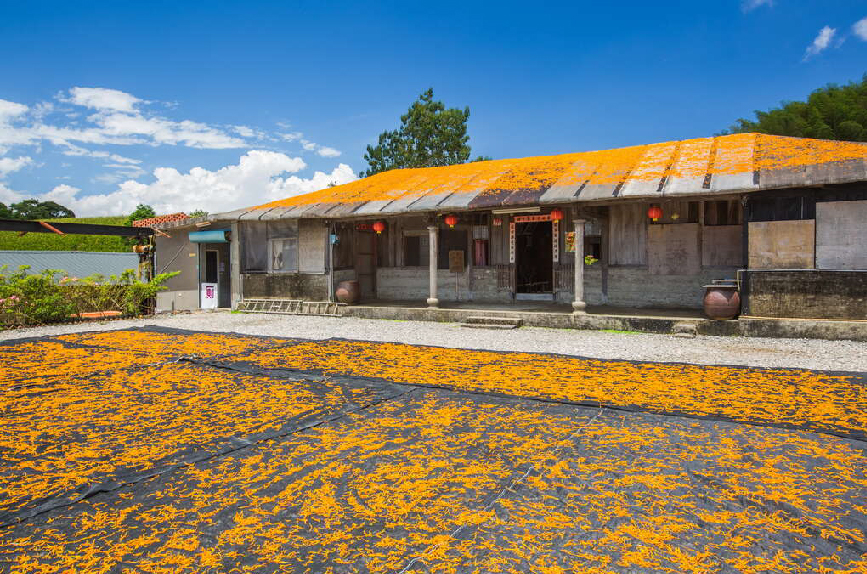 汪家古厝是赤柯山現存最古老的一棟房舍,只有在赤柯山才能看到在閩式三合院的汪家古厝曬金針的獨特風景。