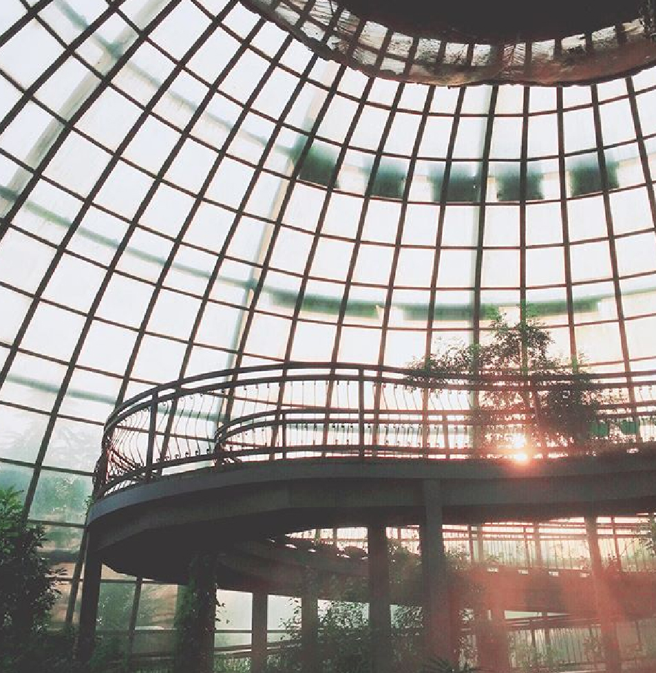 新嘉大昆蟲館：嘉大昆蟲館位於嘉義大學旁，在這裡可以欣賞到全國唯一旋轉彩蝶，館內共分為保育類昆蟲模型、旋轉彩蝶柱、國內/外昆蟲標本展示區、水生活體昆蟲、 蝴蝶溫室花園等，球體內部設計環繞步道，讓民眾漫步之餘近距離體驗與蝶共舞，於休閒中得知識，達寓教育樂之目的。