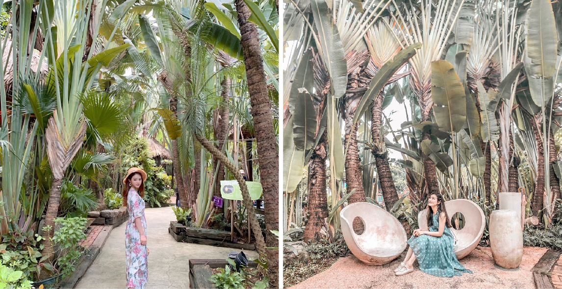 高雄淨園休閒農場:淨園休閒農場位於高雄小港機場跑道旁,有台版小泰國美稱,在園區可以進距離接觸動物、還能在園區裡面購買飼料餵食動物、 還能在你眼前看到飛機起降享受美味的泰式料理與咖啡,很適合帶小朋友來到這遊玩。
