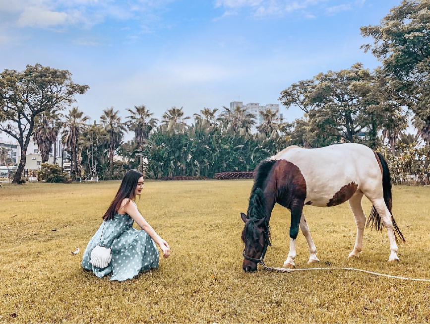 高雄淨園休閒農場:淨園休閒農場位於高雄小港機場跑道旁,有台版小泰國美稱,在園區可以進距離接觸動物、還能在園區裡面購買飼料餵食動物、 還能在你眼前看到飛機起降享受美味的泰式料理與咖啡,很適合帶小朋友來到這遊玩。