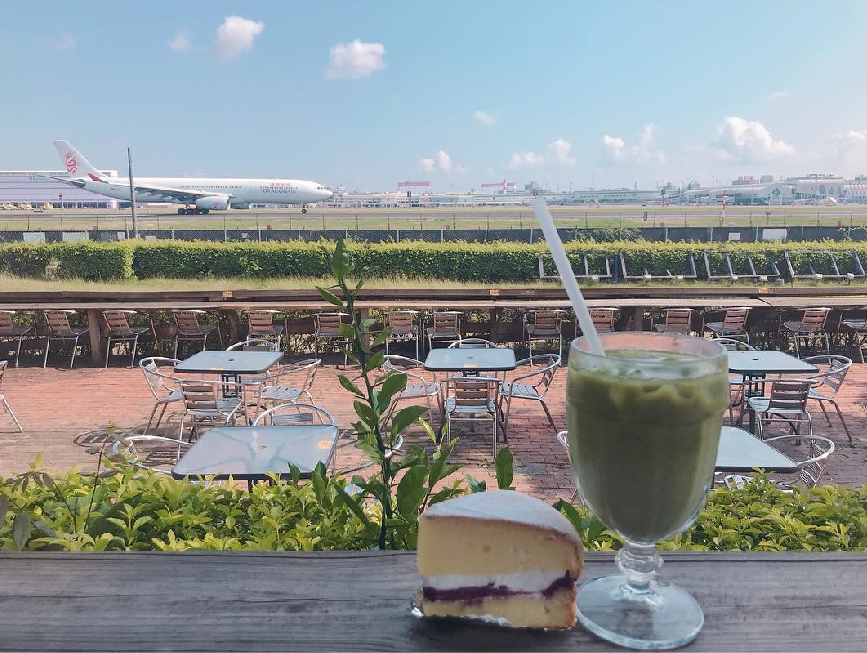 高雄淨園休閒農場:淨園休閒農場位於高雄小港機場跑道旁,有台版小泰國美稱,在園區可以進距離接觸動物、還能在園區裡面購買飼料餵食動物、 還能在你眼前看到飛機起降享受美味的泰式料理與咖啡,很適合帶小朋友來到這遊玩。