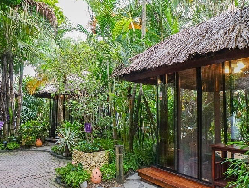 高雄淨園休閒農場:淨園休閒農場位於高雄小港機場跑道旁,有台版小泰國美稱,在園區可以進距離接觸動物、還能在園區裡面購買飼料餵食動物、 還能在你眼前看到飛機起降享受美味的泰式料理與咖啡,很適合帶小朋友來到這遊玩。