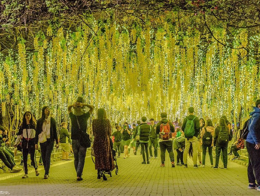 2019屏東聖誕節：2019屏東聖誕節位於屏東公園，今年以金色奇幻童話世界為主題，有超浪漫的水晶城堡還有打造14座主題打卡區裝置藝術， 因聖誕節帶動百年歷史的屏東公園吸引更多人潮前來遊玩，在每個週末還會有許多活動等你來體驗，像是聖誕老人送禮、親子魔術秀、親子氣球表演、 聖誕市集等，而且最讓人期待的是在12/21-25還有5天限定的人造雪活動！而且來到屏東不只來遊玩聖誕節還能去最近熱門的四重溪溫泉季看楓葉燈海！