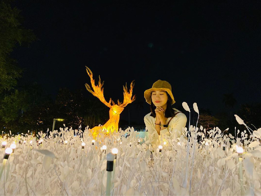 2019屏東聖誕節：2019屏東聖誕節位於屏東公園，今年以金色奇幻童話世界為主題，有超浪漫的水晶城堡還有打造14座主題打卡區裝置藝術， 因聖誕節帶動百年歷史的屏東公園吸引更多人潮前來遊玩，在每個週末還會有許多活動等你來體驗，像是聖誕老人送禮、親子魔術秀、親子氣球表演、 聖誕市集等，而且最讓人期待的是在12/21-25還有5天限定的人造雪活動！而且來到屏東不只來遊玩聖誕節還能去最近熱門的四重溪溫泉季看楓葉燈海！