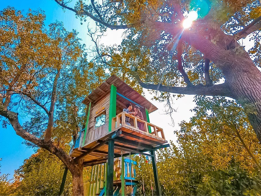 台南優雅農夫藝文農場:優雅農夫藝文農場位於台南後壁,土溝的美術館主張整個農村就是一座美術館,是一群六七年級生所打造的夢想空間, 將原本老舊農村改設成藝術色彩濃厚的殿堂,以辛苦的農夫變成優雅的農夫為精神成立優雅農夫藝術工廠、優雅農夫音樂工廠、 優雅農夫田園野趣等共同品牌,四處都能看見美麗獨特的創作品,讓土溝村落整個添加了藝術新亮點,在園區創造很多藝術空間讓大家欣賞, 也讓農場不像一般的農場,在這裡是更具有創意的農場,園區還有具在地特色餐點來到這也能品嚐看看。