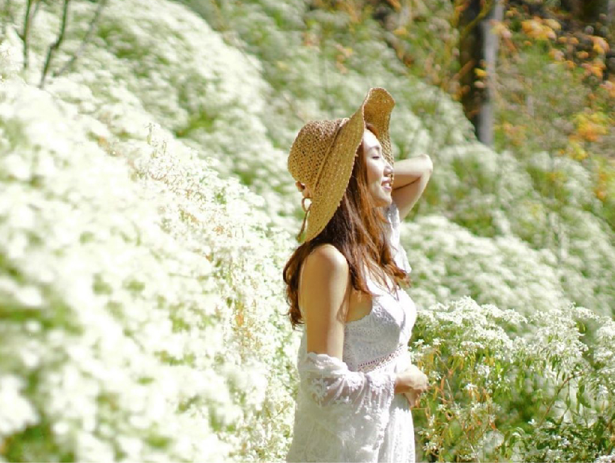 台中沐心泉休閒農場:沐心泉休閒農場位於台中新社,是中部地區知名的賞花景點,在園區一年四季都有不同的花可以欣賞, 在每年11月至12月份底園區的黃金楓和白雪木同步盛放,超美整個被金黃的黃金楓及雪白的白雪木包圍,整個超級浪漫吸引許多遊客前來, 趕快出發別錯過欣賞黃金楓和白雪木的機會!沐心泉休閒農場不僅不僅可以賞花,在園區內還有提供餐點。