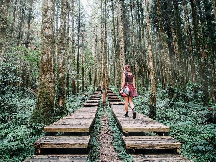 明池國家森林遊樂區：明池森林遊樂區位在宜蘭縣大同鄉，海拔約在1150至1700公尺間，是一個高山人工湖泊，是一個假日帶著家人踏青森林浴的好地方， 園區裡面有青年活動中心、苗圃、森林步道、環湖步道等遊憩設施，明池森林遊樂區有北橫明珠的美稱，也是北部橫貫公路的最高點， 明池森林遊樂區的池畔園林分為慈園、靜石園，藏園，園區除了森林來有鳥類、蝴蝶、松鼠等生態可以觀賞，在這裡很適合假日出門走走的好景點。