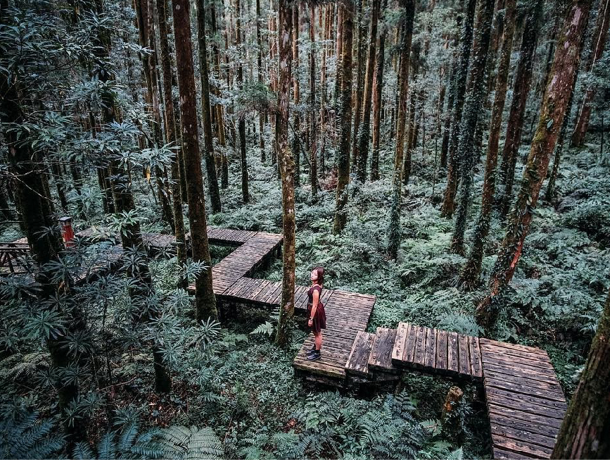 明池國家森林遊樂區：明池森林遊樂區位在宜蘭縣大同鄉，海拔約在1150至1700公尺間，是一個高山人工湖泊，是一個假日帶著家人踏青森林浴的好地方， 園區裡面有青年活動中心、苗圃、森林步道、環湖步道等遊憩設施，明池森林遊樂區有北橫明珠的美稱，也是北部橫貫公路的最高點， 明池森林遊樂區的池畔園林分為慈園、靜石園，藏園，園區除了森林來有鳥類、蝴蝶、松鼠等生態可以觀賞，在這裡很適合假日出門走走的好景點。