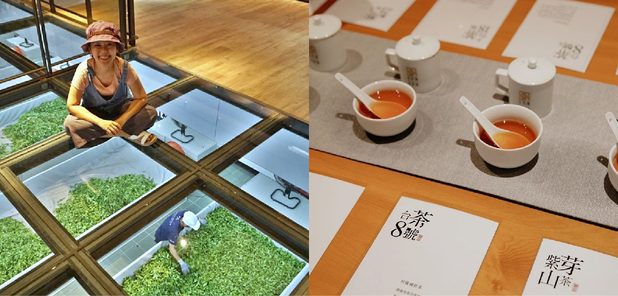 Hohocha喝喝茶:Hohocha喝喝茶是以台灣日月潭紅茶為主題觀光茶廠,在今年新開幕就吸引很多遊客前來,每天都有限量免費吃茶葉蛋跟品嚐日月潭紅茶, 在觀光工廠可以經由解說更了解茶的製作過程。