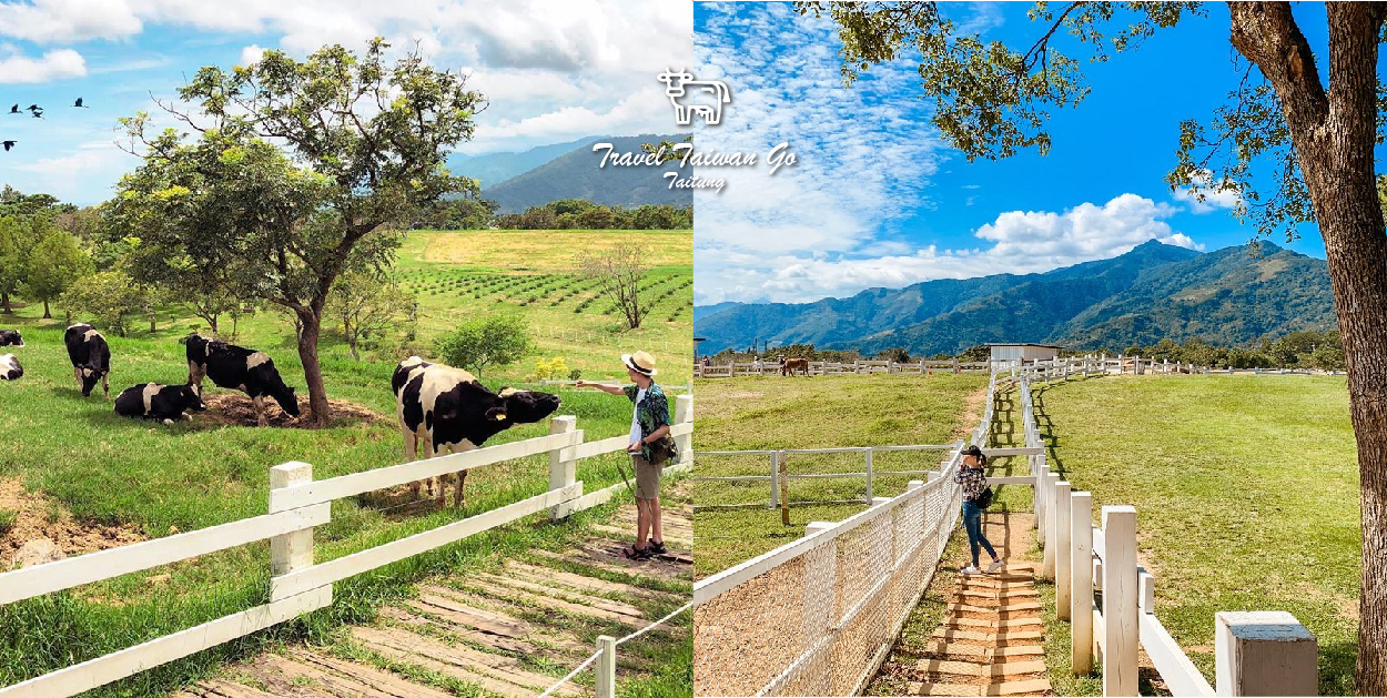 台東初鹿牧場：初鹿牧場位於台東縣卑南鄉明峰村，是全國歷史最悠久的大型坡地觀光牧場，因為牧場位於高台 地，坡度不大排水良好，加上氣候溫和雨量豐沛， 因此在初鹿牧場的牧草生長旺盛，一整年都可以供應牧草，在園區裡面有規劃放牧區、餵食區、森林浴、滾草區等， 在園區裡面還有販賣用初鹿鮮奶做的小饅頭，還能餵牛吃牧草餵馬吃紅蘿蔔，還能體驗騎馬的樂趣。