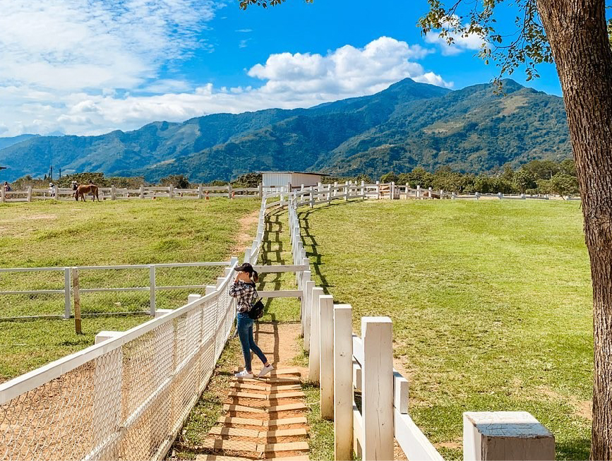 台東初鹿牧場：初鹿牧場位於台東縣卑南鄉明峰村，是全國歷史最悠久的大型坡地觀光牧場，因為牧場位於高台 地，坡度不大排水良好，加上氣候溫和雨量豐沛， 因此在初鹿牧場的牧草生長旺盛，一整年都可以供應牧草，在園區裡面有規劃放牧區、餵食區、森林浴、滾草區等， 在園區裡面還有販賣用初鹿鮮奶做的小饅頭，還能餵牛吃牧草餵馬吃紅蘿蔔，還能體驗騎馬的樂趣。