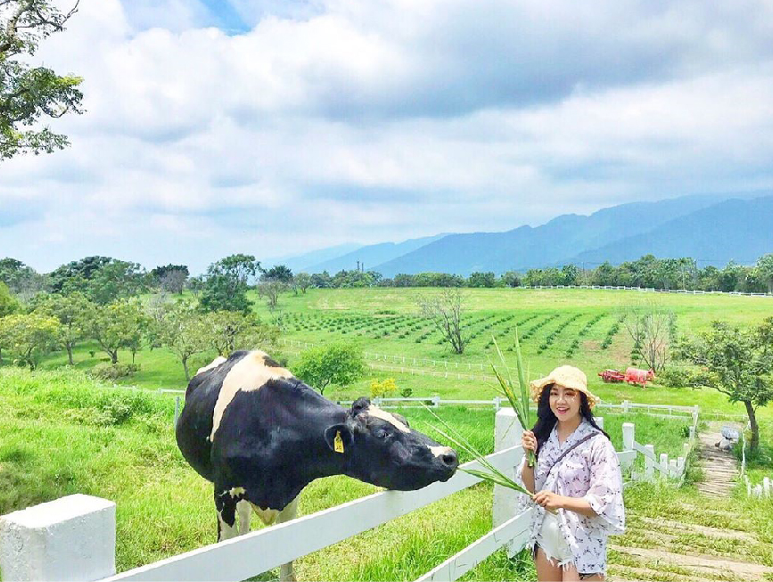 台東初鹿牧場：初鹿牧場位於台東縣卑南鄉明峰村，是全國歷史最悠久的大型坡地觀光牧場，因為牧場位於高台 地，坡度不大排水良好，加上氣候溫和雨量豐沛， 因此在初鹿牧場的牧草生長旺盛，一整年都可以供應牧草，在園區裡面有規劃放牧區、餵食區、森林浴、滾草區等， 在園區裡面還有販賣用初鹿鮮奶做的小饅頭，還能餵牛吃牧草餵馬吃紅蘿蔔，還能體驗騎馬的樂趣。