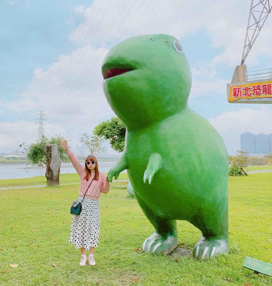 華中橋恐龍園區：恐龍迷注意！華中橋恐龍園區位於河濱自行車道旁的華中橋下，除了牆壁上有3D立體恐龍彩繪還有許多恐龍造型裝置藝術、 還有超可愛恐龍蛋，最特別的是還有吉普車，整個公園超像侏儸紀公園，恐龍公園為全國唯一河濱自行車道3D彩繪。