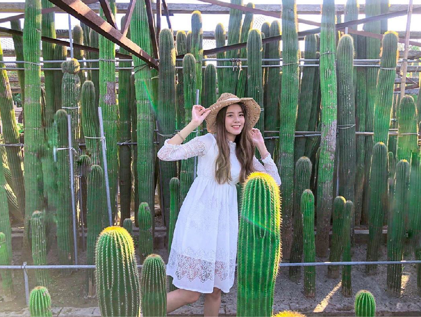 彰化田尾農村仙人掌園:農村仙人掌園位於彰化田尾鄉隱藏在小巷子裡,超巨大的仙人掌園都比人高大了,彷彿就像是在沙漠秘境超美的, 園區不大如果要跟巨大仙人掌拍照的話需要排隊,園區還有具有60年生仙人掌的大鳳龍!雖然需要門票50元但是可以全額折抵把可愛的仙人掌帶回家!田尾鄉的花卉年產量與種類是全臺灣之冠,有花鄉之美稱,喜歡花卉的人可以到這走走還能騎腳踏車,農村仙人掌園在田尾鄉是非常有名的景點,超巨大仙人掌超吸睛。