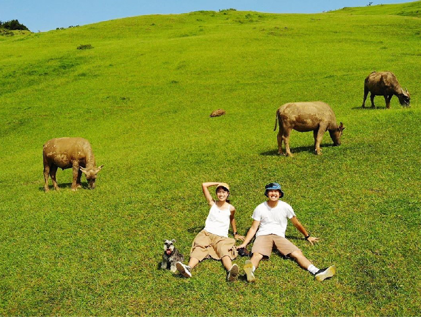 新北桃源谷步道:桃源谷位於新北市貢寮區坐落在海拔500公尺的草原上,這裡為東北角熱門景點之一, 早期農家會在這放養牛隻像世外桃源所以取名為桃源谷, 一大片草原綠地可以讓人很放鬆的在這看著牛靜靜地吃草。