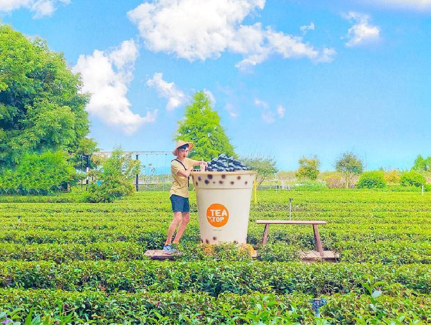 茶二指故事館：茶二指故事館位於南投名間鄉為茶葉故事館，茶二故事館園區主要由主管、工廠與綠地休憩庭園組成，會取名叫茶二指背後有一個故事在， 也能來到園區聽著解說，在園區裡除了可以了解茶的文化，園區還有大茶園、巨型大珍奶，還有許多DIY可以體驗，像是茶球香包、製作珍珠奶茶等， 特別的是還有日式浴衣可以體驗，園區還有許多地方可以拍照留影。