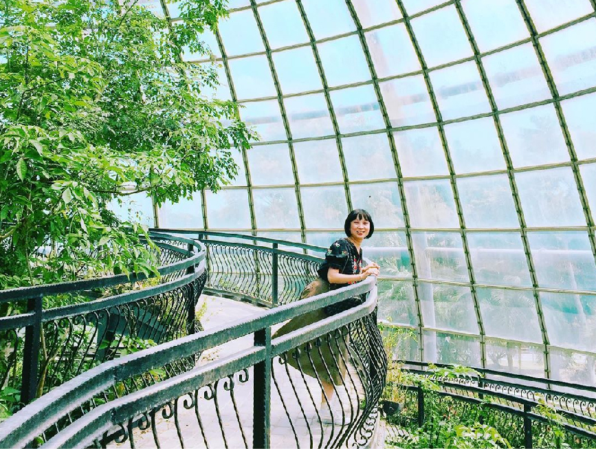新嘉大昆蟲館:嘉大昆蟲館位於嘉義大學旁,在這裡可以欣賞到全國唯一旋轉彩蝶,館內共分為保育類昆蟲模型、旋轉彩蝶柱、國內/外昆蟲標本展示區、水生活體昆蟲、 蝴蝶溫室花園等,球體內部設計環繞步道,讓民眾漫步之餘近距離體驗與蝶共舞,於休閒中得知識,達寓教育樂之目的。