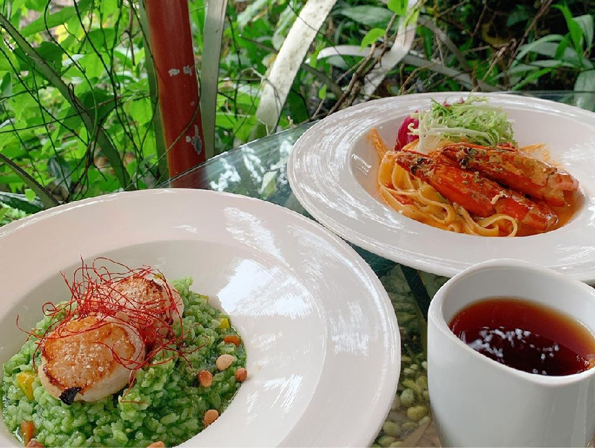 新北青立方休閒農場：青立方休閒農場為餐廳是老住宅改建而成的，青立方休閒農場的建築都是以紅磚打造，整體看起來非常有古早味的感覺， 也是這裡的一大特色，有人稱這裡為紅磚版的天空之城，在園區還有餐點可以品嚐呦！