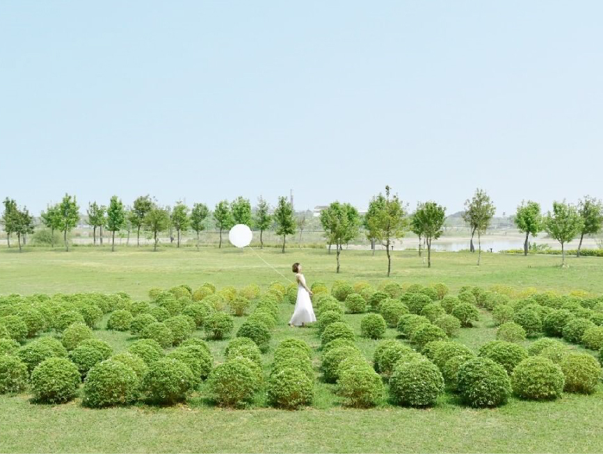 嘉義國立故宮博物院南部分院:國立故宮博物院南部院區位於嘉義太保市,在園區裡面可以欣賞許多展覽,最近還有超可愛的波波草在博物院裡面, 讓你不用跑到彰化在這裡就能看到台版波波草而且還免費!除了波波草還有許多植栽造型設計、花海, 而且嘉義故宮南院還被譽為台灣最美的博物館。