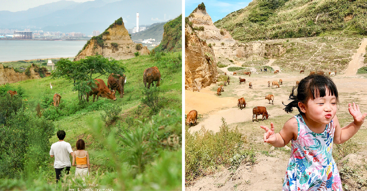新北林口水牛坑:八里水牛坑位於新北林口區,在這裡超像置身在異國風情,有台版美國大峽谷美稱!黃土峭壁還能眺望到遠方湛藍的海景, 這裡也是拍婚紗熱門首選,據說農家會在下午02點至04點放牛出來,幸運的話還可以遇到牛群在吃草呦!