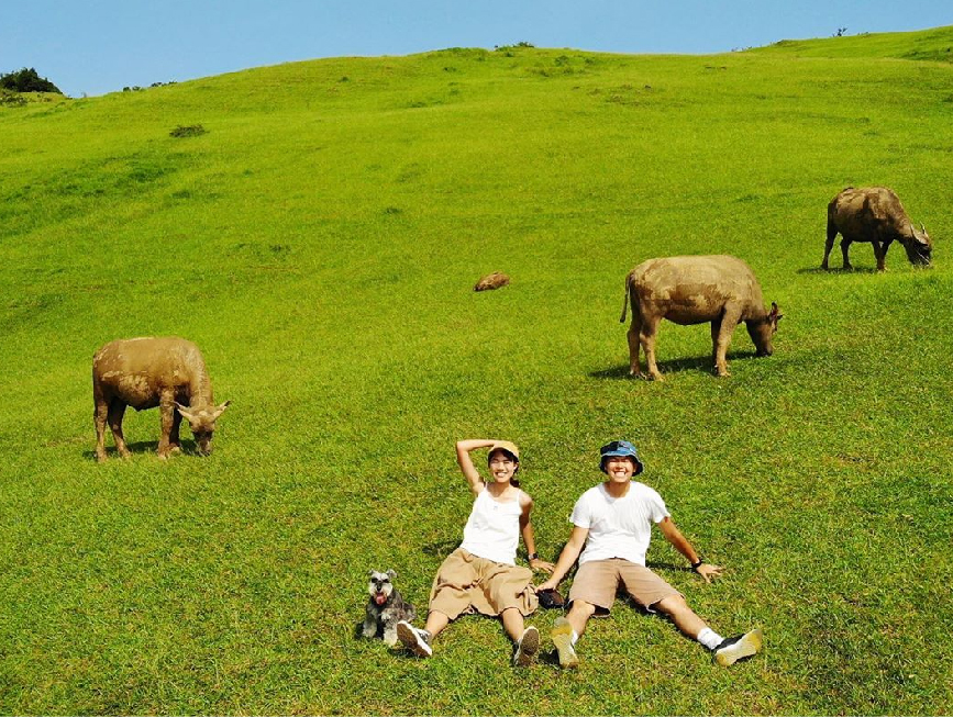 新北桃源谷步道:桃源谷位於新北市貢寮區坐落在海拔500公尺的草原上,這裡為東北角熱門景點之一, 早期農家會在這放養牛隻像世外桃源所以取名為桃源谷, 一大片草原綠地可以讓人很放鬆的在這看著牛靜靜地吃草。