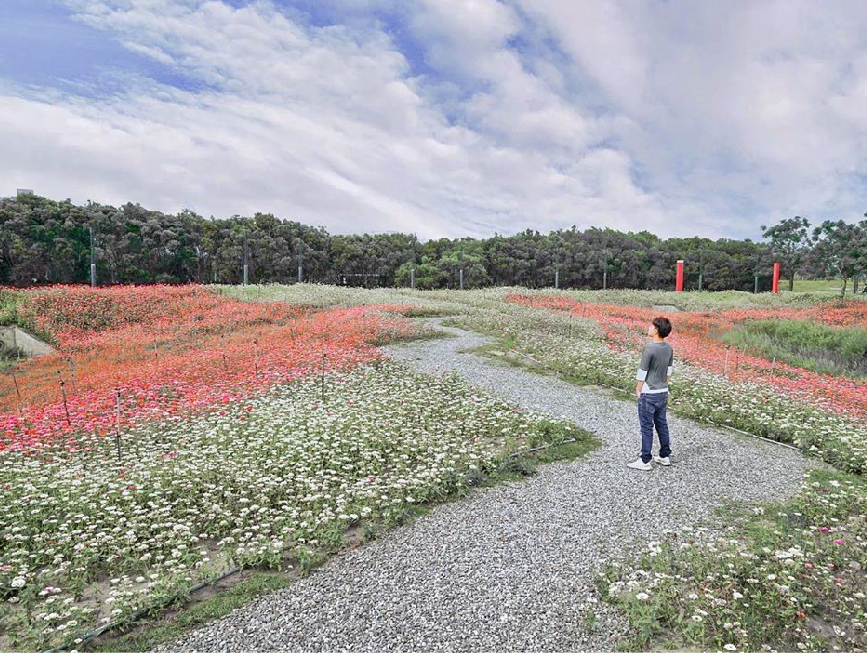 嘉義國立故宮博物院南部分院:國立故宮博物院南部院區位於嘉義太保市,在園區裡面可以欣賞許多展覽,最近還有超可愛的波波草在博物院裡面, 讓你不用跑到彰化在這裡就能看到台版波波草而且還免費!除了波波草還有許多植栽造型設計、花海, 而且嘉義故宮南院還被譽為台灣最美的博物館。