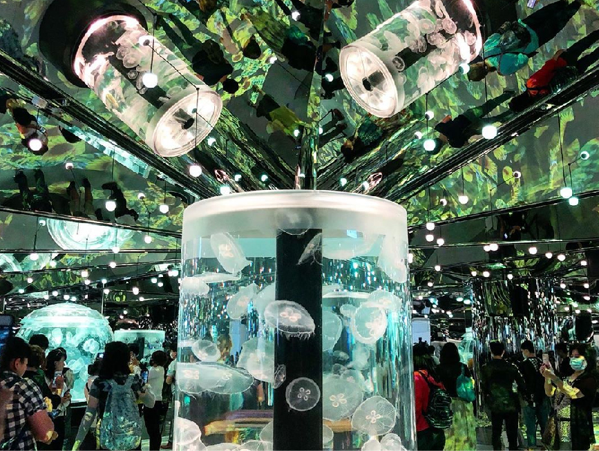桃園Xpark水族館：大家最期待的Xpark水族館於08/07正式開幕囉！Xpark為台灣首座新都會型水生公園，由日本橫濱八景島打造的全台首座國際級水族館， 4500坪的水族館共有13個主題展區，搭配宮崎駿動畫御用配樂師久石讓的7首曲子環繞著6個展區！