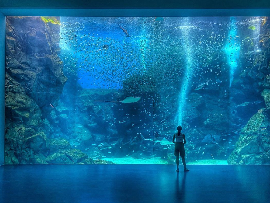 桃園Xpark水族館：大家最期待的Xpark水族館於08/07正式開幕囉！Xpark為台灣首座新都會型水生公園，由日本橫濱八景島打造的全台首座國際級水族館， 4500坪的水族館共有13個主題展區，搭配宮崎駿動畫御用配樂師久石讓的7首曲子環繞著6個展區！