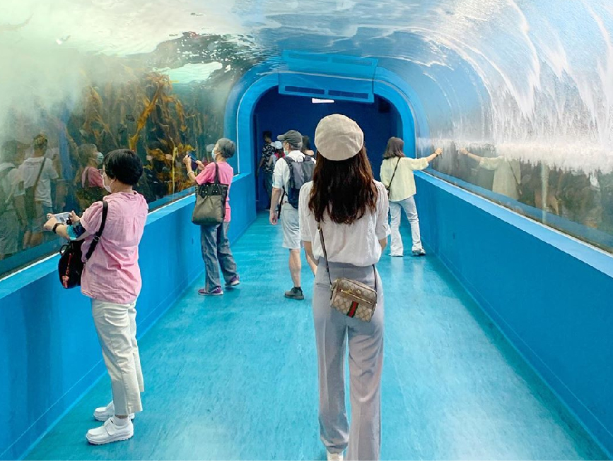 桃園Xpark水族館：大家最期待的Xpark水族館於08/07正式開幕囉！Xpark為台灣首座新都會型水生公園，由日本橫濱八景島打造的全台首座國際級水族館， 4500坪的水族館共有13個主題展區，搭配宮崎駿動畫御用配樂師久石讓的7首曲子環繞著6個展區！