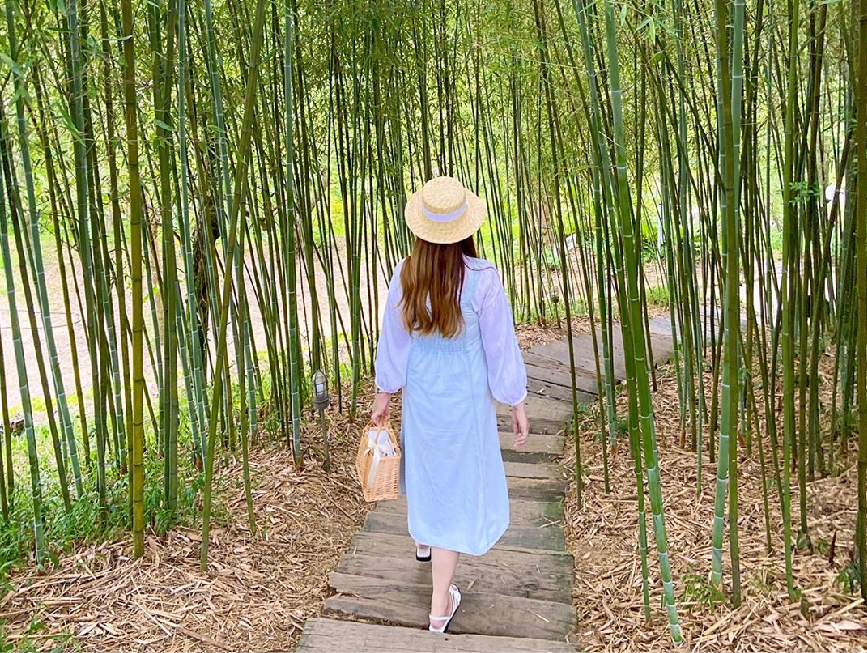 苗栗天空之城：天空之城位於苗栗大湖鄉，園區佔地非常廣大為苗栗知名旅遊景點！天空之城是一個非常夢幻的樹屋城堡， 在園區各個角落都非常美，再天空之城可以眺望到遠方的鯉魚潭水庫，餐廳裡還有美味餐點可以品嚐，非常適合帶著家人假日出門踏青的好地方。