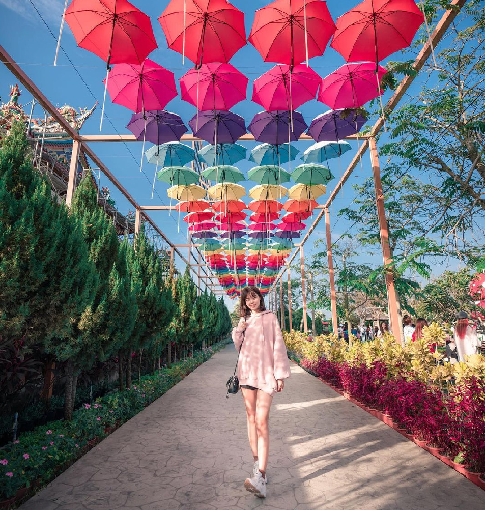 嘉義三隻小豬觀光農場:三隻小豬觀光農場位於嘉義民雄,為全台唯一以豬為主題的觀光農場,進到園區彷彿就是走到三隻小豬童話世界, 在園區各個角落都能看到小豬的蹤影,像是超大粉紅豬、小豬的販賣部、彩虹傘步道、小豬吉祥物、 彩繪牆等還有三隻小豬故事中的場景呈現呢,園區還有手作DIY跟餐廳,在園區還有20多種動物可以近距離接觸唷!