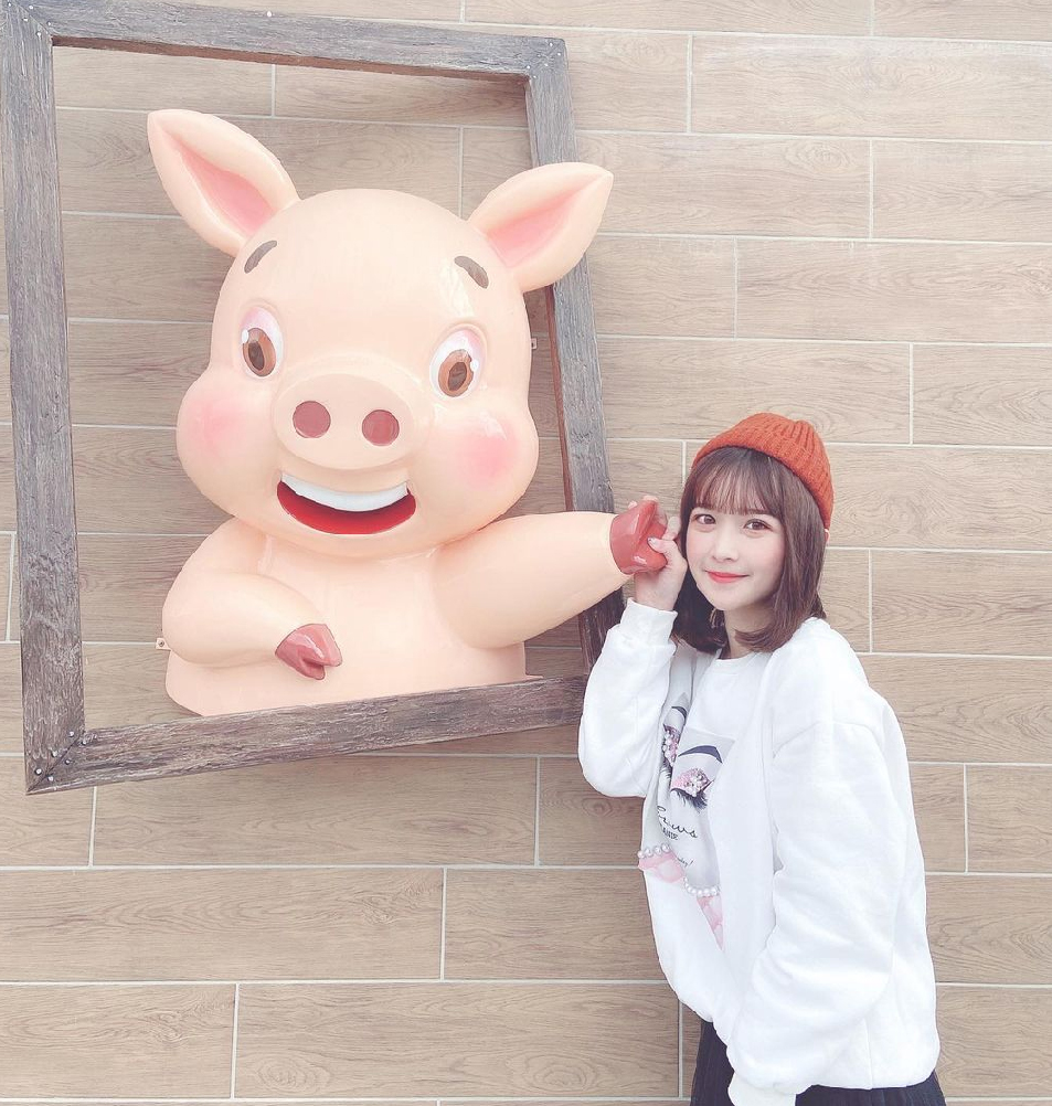 嘉義三隻小豬觀光農場:三隻小豬觀光農場位於嘉義民雄,為全台唯一以豬為主題的觀光農場,進到園區彷彿就是走到三隻小豬童話世界, 在園區各個角落都能看到小豬的蹤影,像是超大粉紅豬、小豬的販賣部、彩虹傘步道、小豬吉祥物、 彩繪牆等還有三隻小豬故事中的場景呈現呢,園區還有手作DIY跟餐廳,在園區還有20多種動物可以近距離接觸唷!