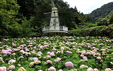 杉林溪森林生態園區