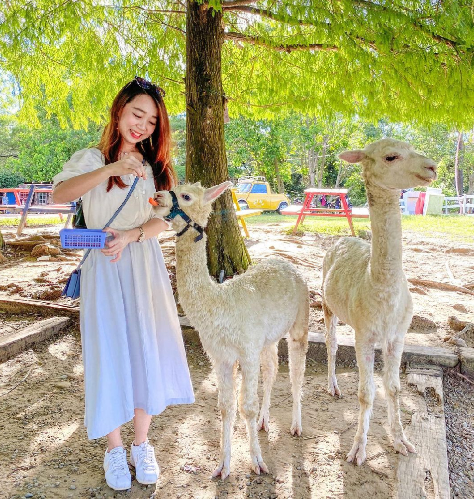 桃園富田花園農場：富田花園農場位於桃園大溪區，花園農場除了有許多歐式風格的造景之外，還是多部知名偶像劇的拍攝場景， 園區一年四季有不同的花季可以欣賞，戶外的造景包括有最熱門的水晶教堂、藍色風車&城堡等， 園區還有超人氣草泥馬以及許多可愛動物！