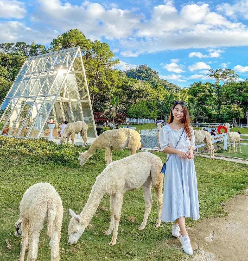 桃園富田花園農場：富田花園農場位於桃園大溪區，花園農場除了有許多歐式風格的造景之外，還是多部知名偶像劇的拍攝場景， 園區一年四季有不同的花季可以欣賞，戶外的造景包括有最熱門的水晶教堂、藍色風車&城堡等， 園區還有超人氣草泥馬以及許多可愛動物！