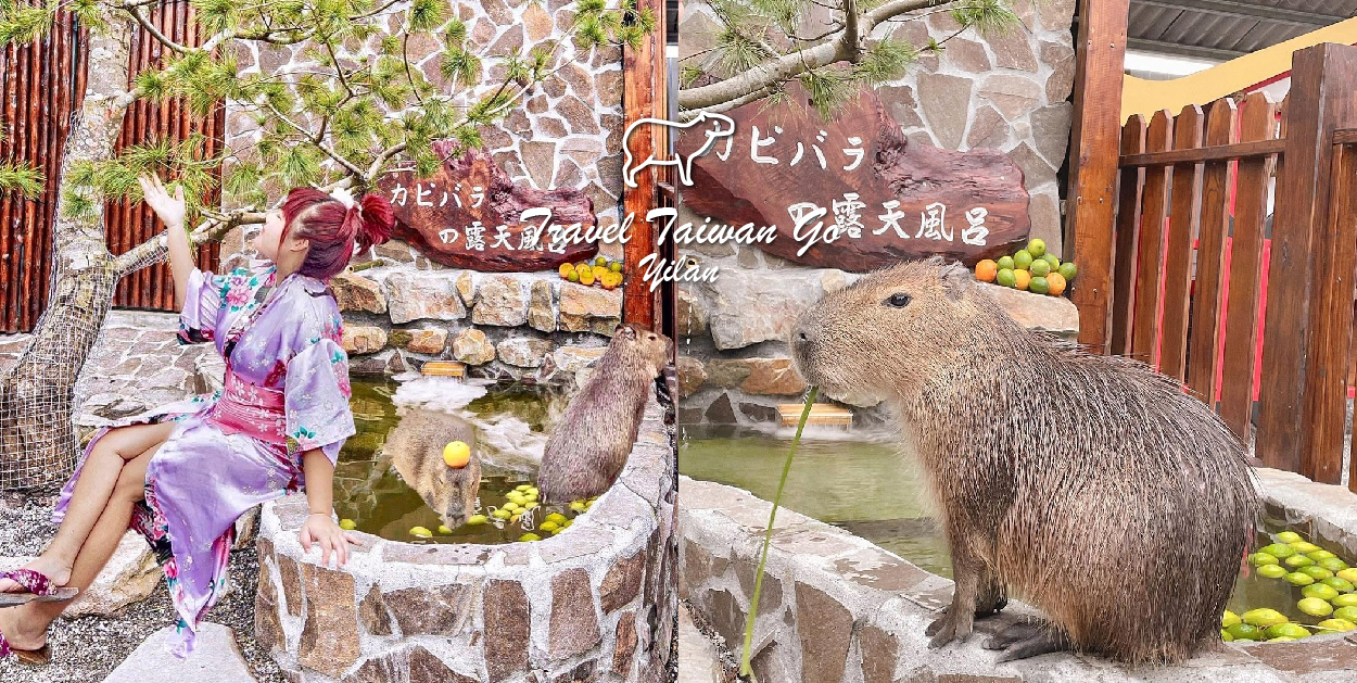 張美阿嬤農場位於宜蘭縣三星鄉，農場在戶外打造400坪的日式庭園彷彿置身在奈良，在這裡讓你不用出國在這裡就能近距離與梅花鹿 相處和浴衣體驗紅色鳥居、神社等、，除了這樣之外近期在園區還有超療癒的水豚君，可以在這近距離親眼看見水豚君泡湯及餵食！ 園區還有多種DIY可以體驗，像是蔥油餅、搗麻糬、自採有機蔬食披薩等。