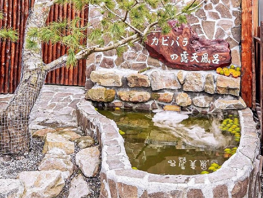 宜蘭張美阿嬤農場：張美阿嬤農場位於宜蘭縣三星鄉，農場在戶外打造400坪的日式庭園彷彿置身在奈良，在這裡讓你不用出國在這裡就能近距離與梅花鹿 相處和浴衣體驗紅色鳥居、神社等、，除了這樣之外近期在園區還有超療癒的水豚君，可以在這近距離親眼看見水豚君泡湯及餵食！ 園區還有多種DIY可以體驗，像是蔥油餅、搗麻糬、自採有機蔬食披薩等。