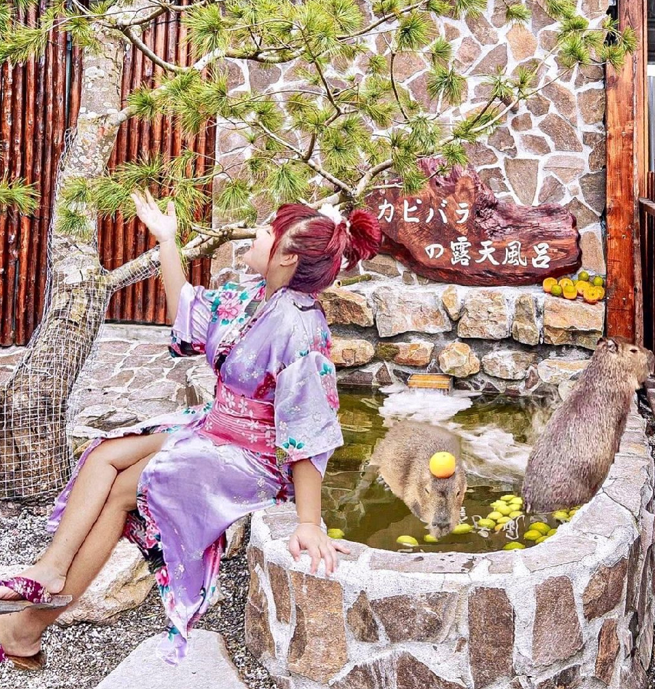 宜蘭張美阿嬤農場：張美阿嬤農場位於宜蘭縣三星鄉，農場在戶外打造400坪的日式庭園彷彿置身在奈良，在這裡讓你不用出國在這裡就能近距離與梅花鹿 相處和浴衣體驗紅色鳥居、神社等、，除了這樣之外近期在園區還有超療癒的水豚君，可以在這近距離親眼看見水豚君泡湯及餵食！ 園區還有多種DIY可以體驗，像是蔥油餅、搗麻糬、自採有機蔬食披薩等。